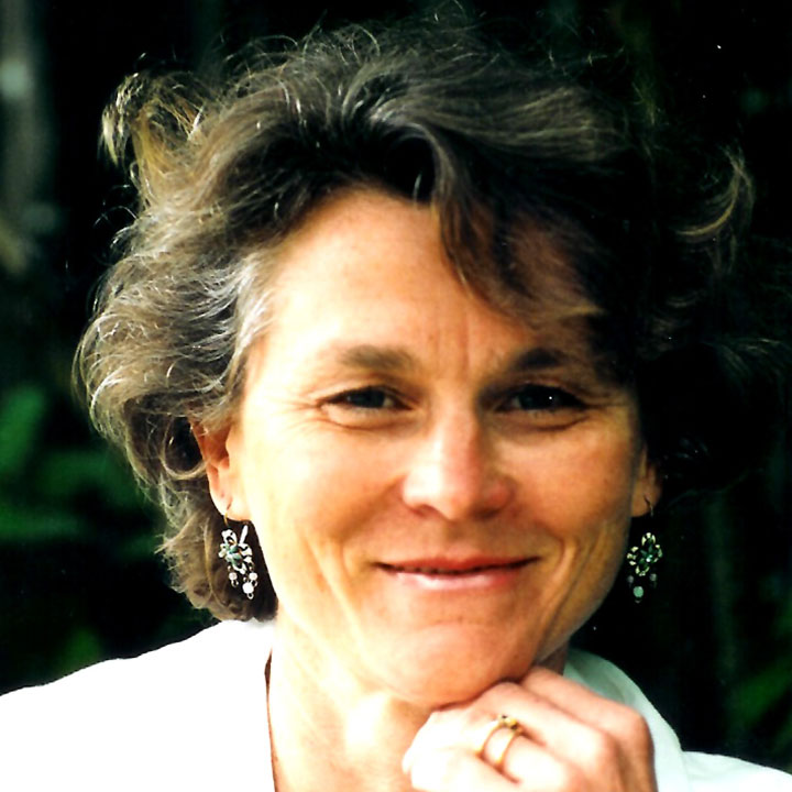 solutionfocus-consultants.fr